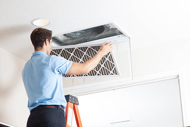 Best Air Filters and Purifiers in Arlington, NE